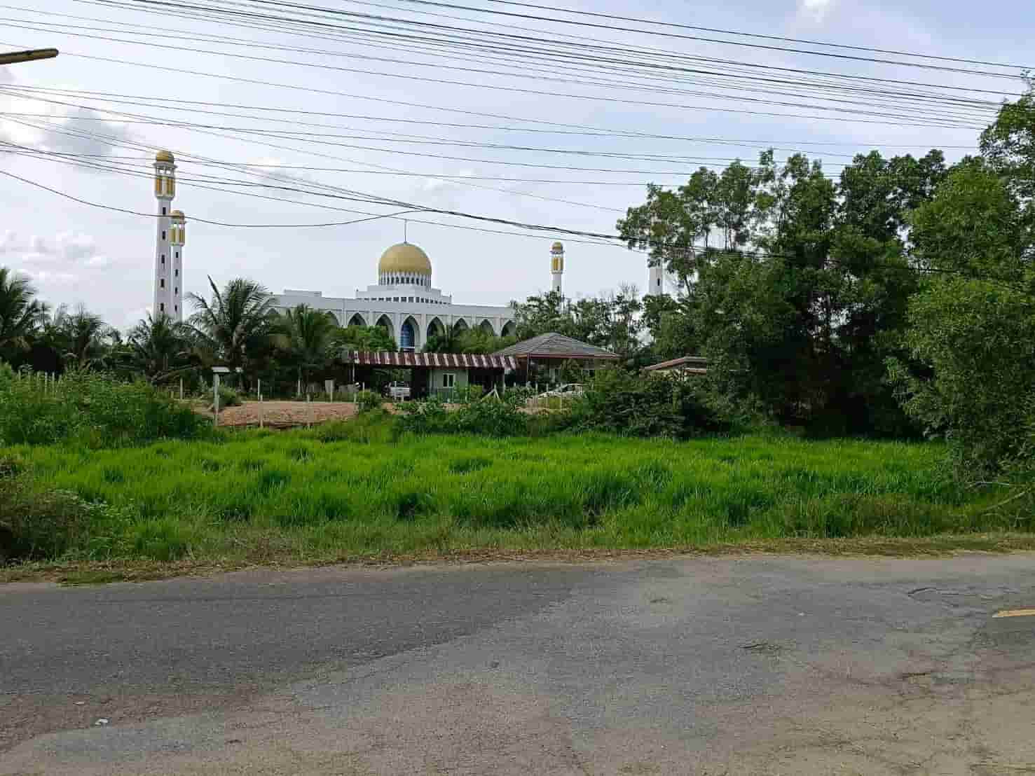 ขายถูกมาก!! ที่ดิน 45 ตร.ว. 2 แปลงติดกัน ติดถนน ทำเลทอง ต.คลองแห อ.หาดใหญ่ จ.สงขลา ใกล้ตลาดน้ำ บิ๊กซีฯ